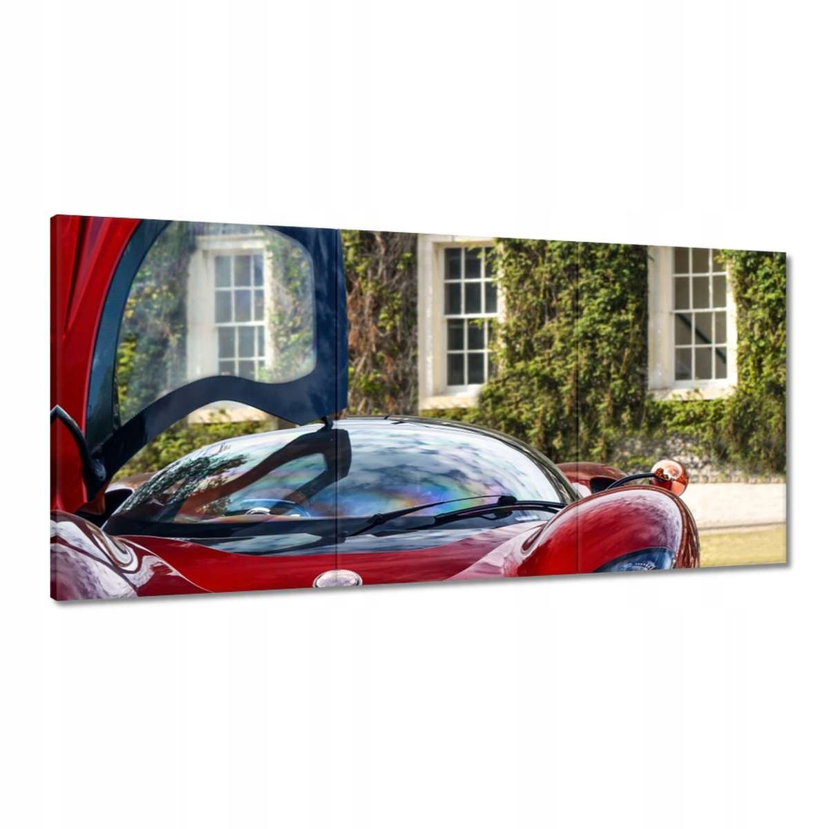 Obrazy 180x90 Detomaso Auto