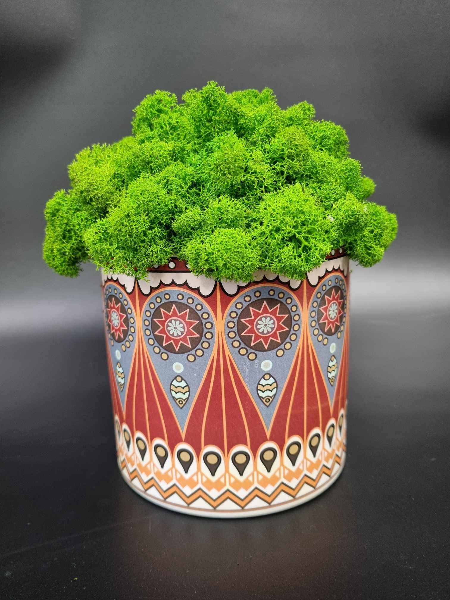 MECH CHROBOTEK W DONICZCE Marka bez marki