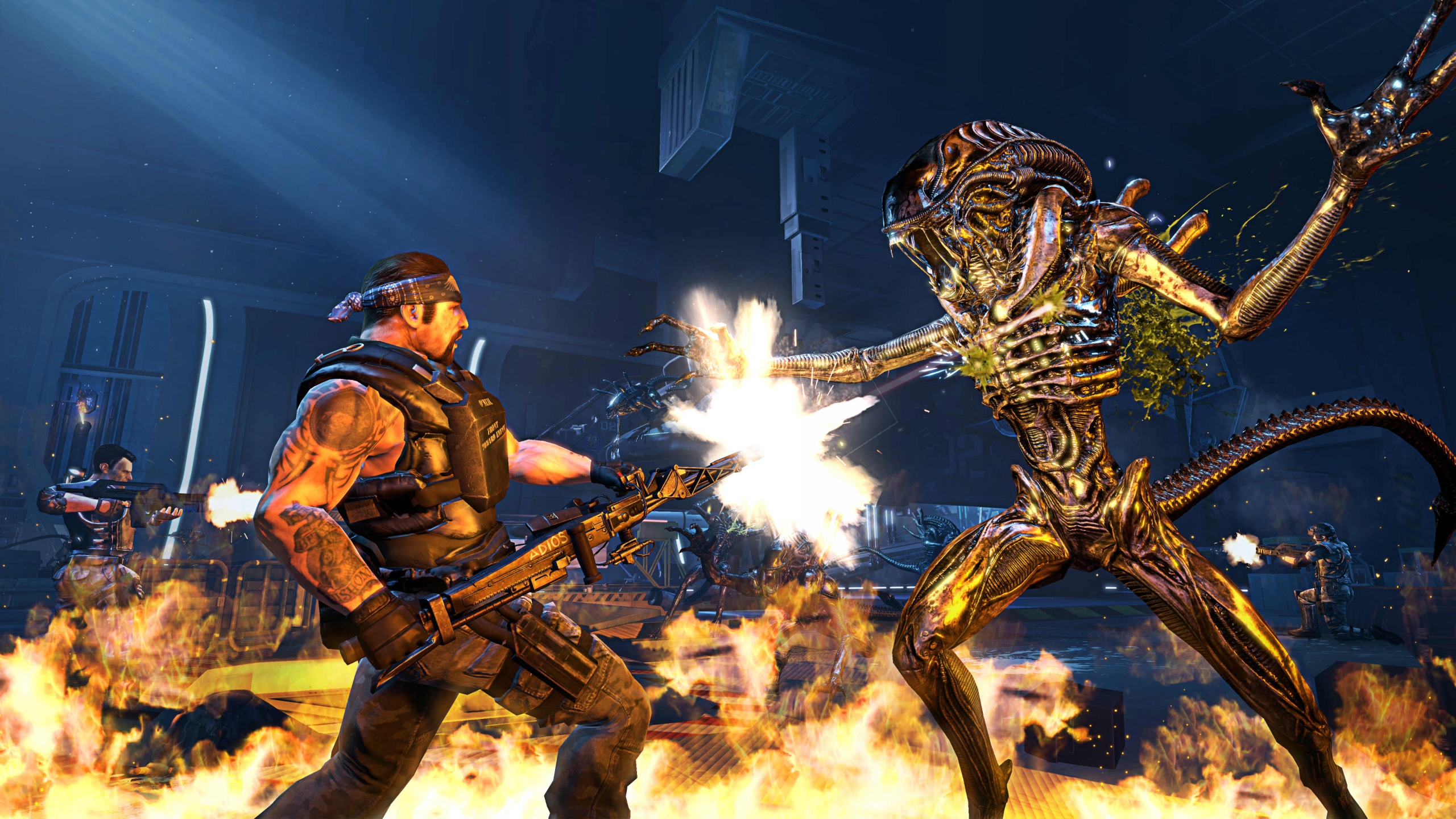 ALIENS COLONIAL MARINES XBOX 360 po Polsku PL Wersja gry pudełkowa