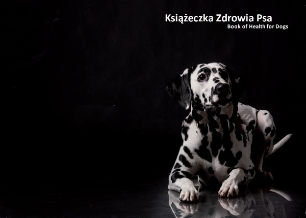 

Książeczka zdrowia psa Dalmatyńczyk