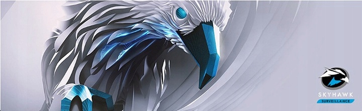 DYSK TWARDY HDD SEAGATE SURVEILLANCE 2TB DO CCTV Model Seagate