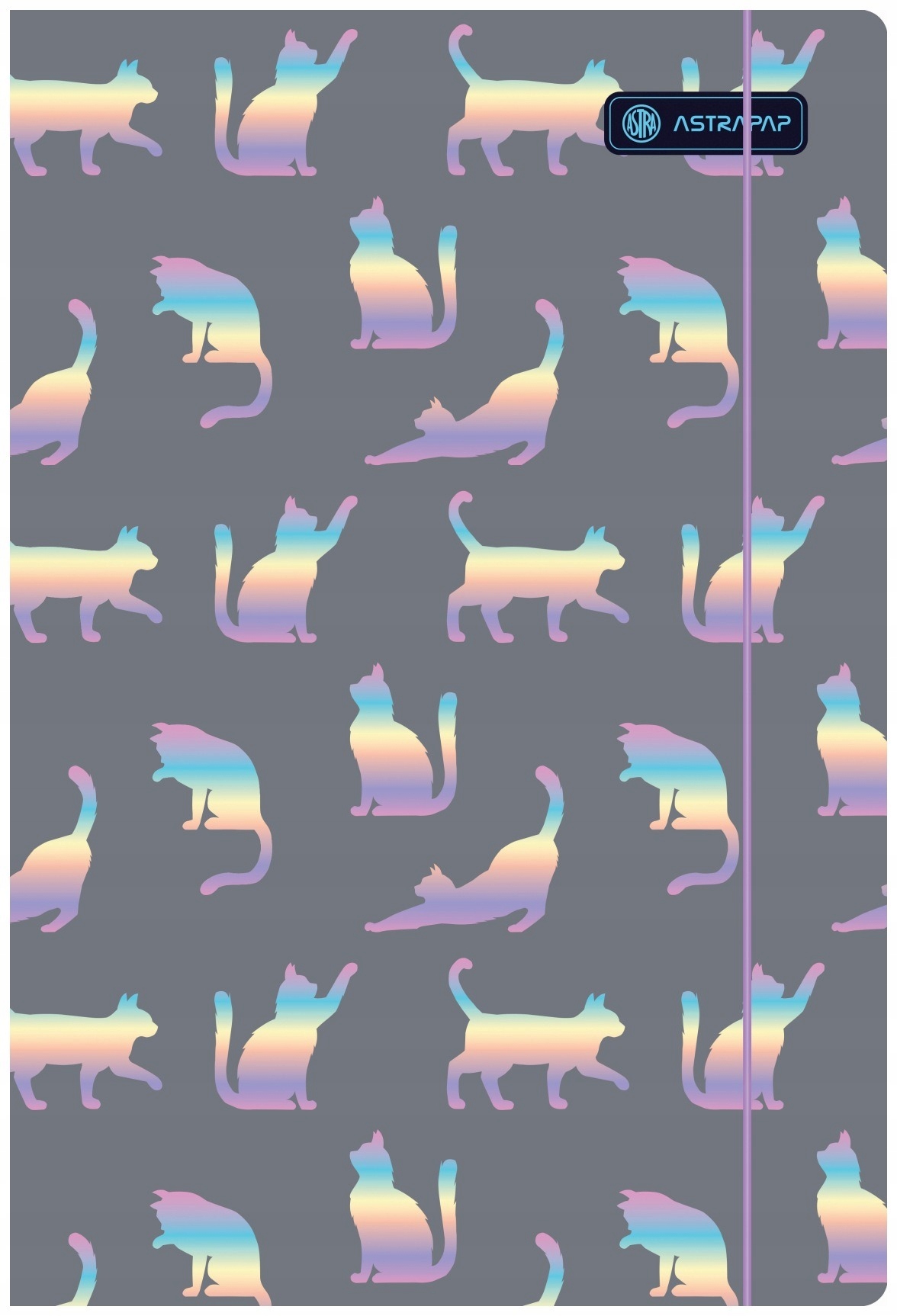 

Teczka z gumką A4 Holograficzna dziewczęca jasna