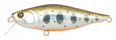 PONTOON21 Kalikana 70SP-SR 050 Crash Hg Silver Ama