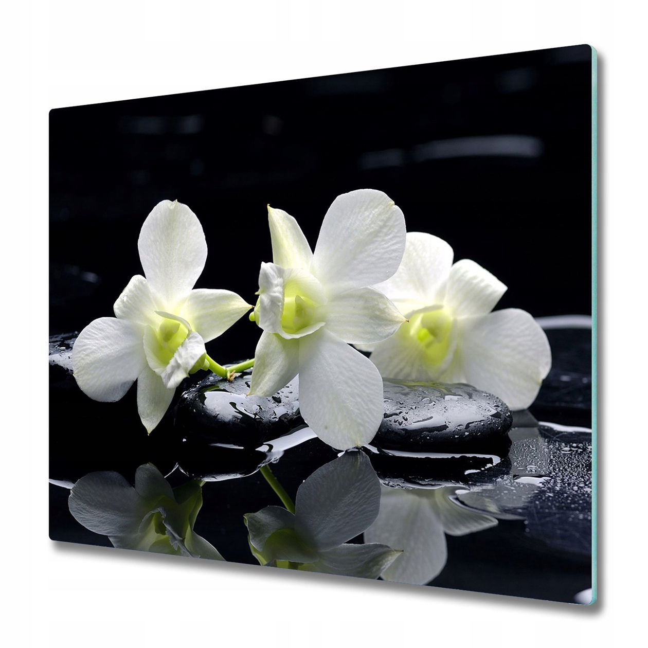 

Hartowana osłona płyty indukcyjnej Orchidea 60x52