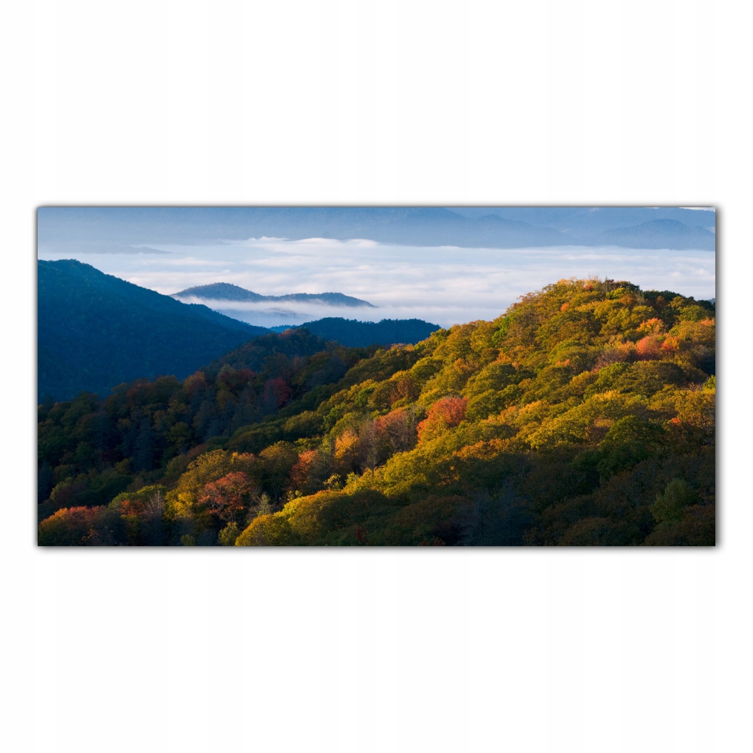 

Hartowany Obraz Szklany Góry Park Krajobraz 100x50