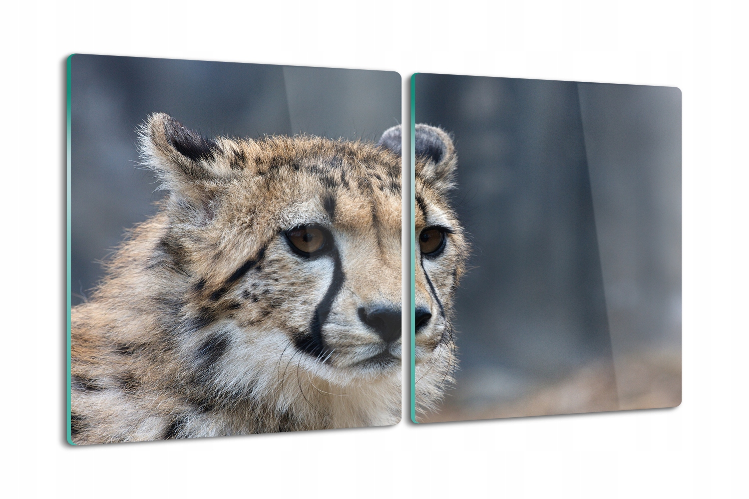 Deska na krájení Tvrzené Sklo do kuchyně 2x40x52 Gepard příroda