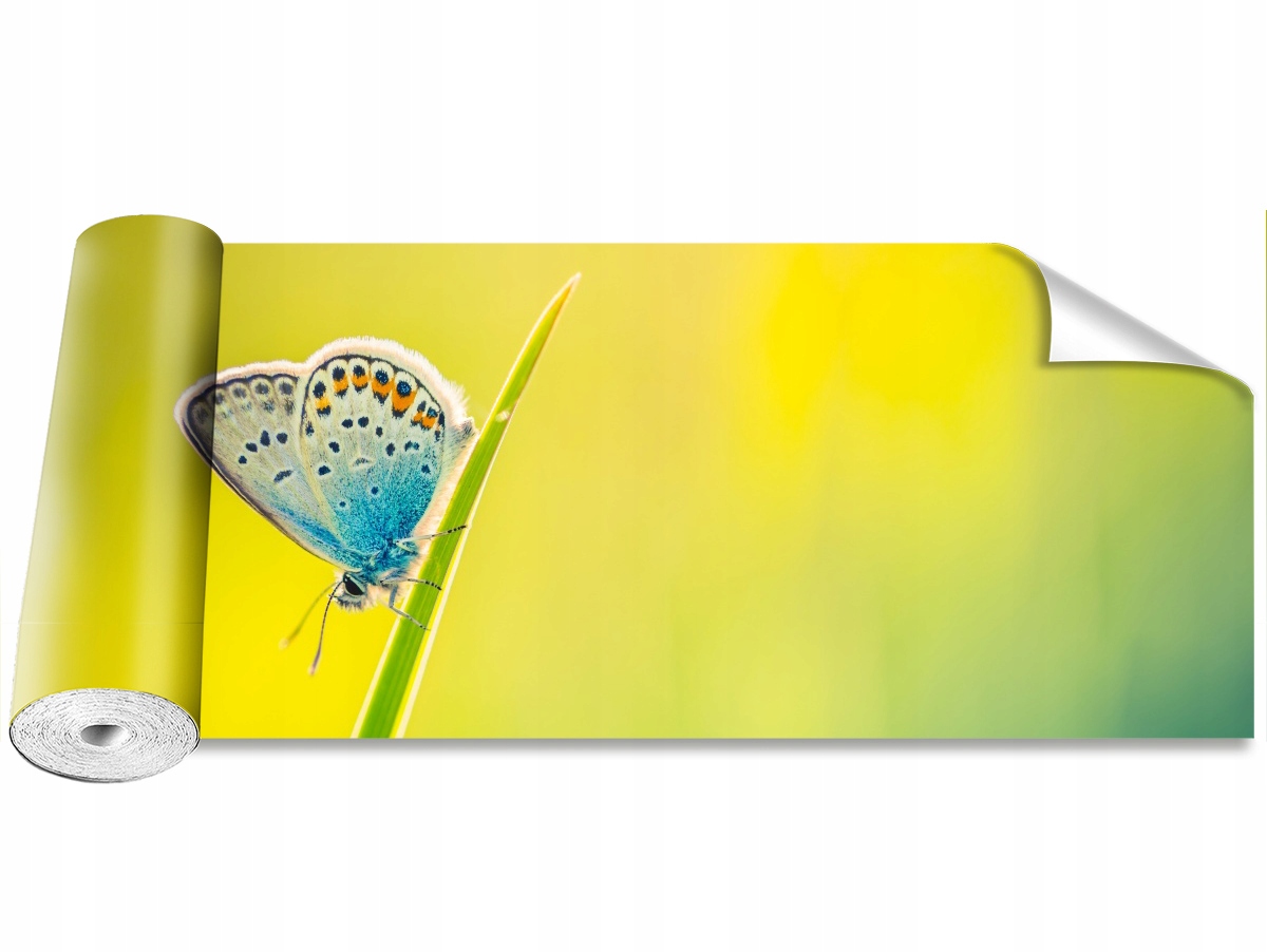 

Tapeta Samoprzylepna MagicStick Motyl - 250x104