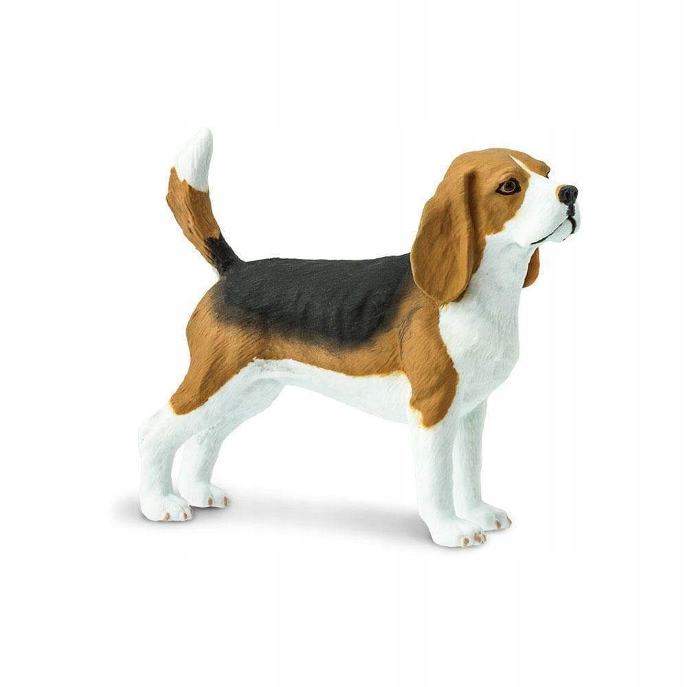

Pies Beagle Safari Ltd. 254929