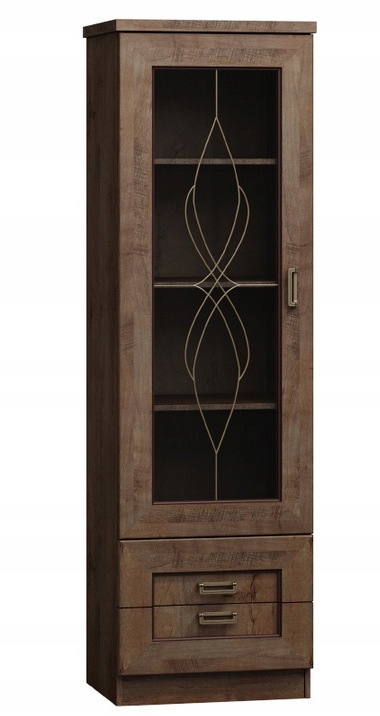 Witryna jednodrzwiowa TADEUSZ T10- 2 KOLORY