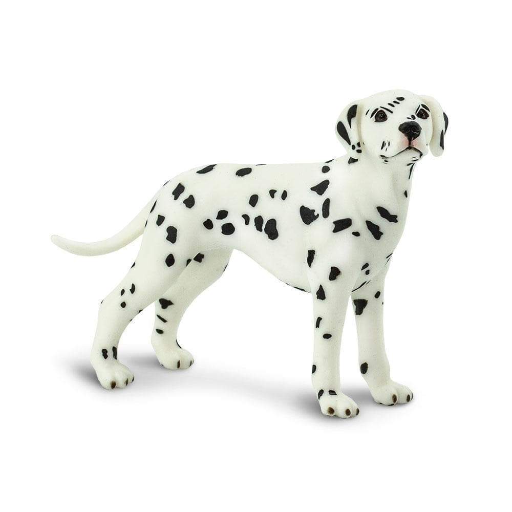 

Pies Dalmatyńczyk Dalmatian Safari Ltd. 239529