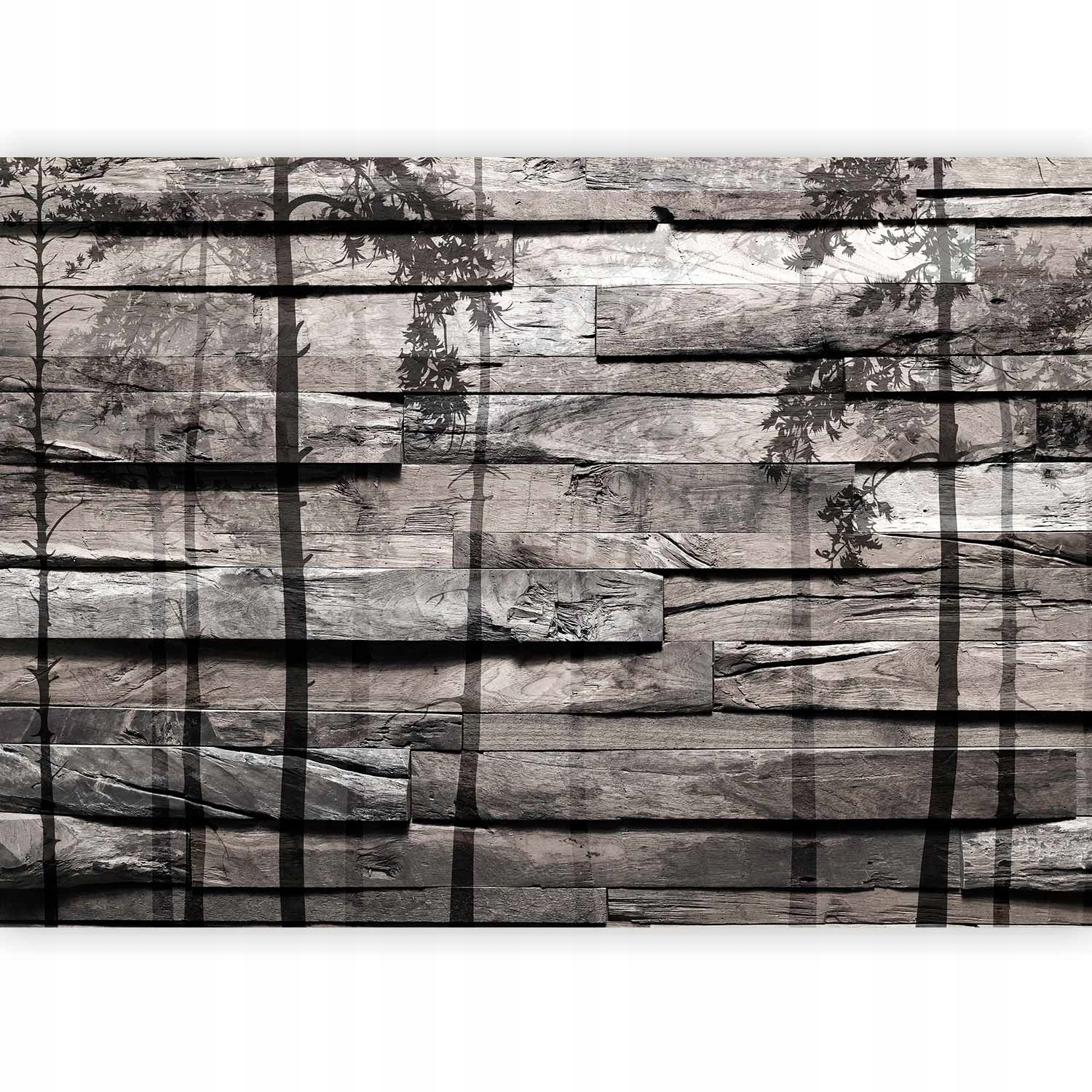 Fototapeta Dřevo Desky Stěna Dřevo Stín Ptáci Do Obývacího Pokoje Ložnice 400x280