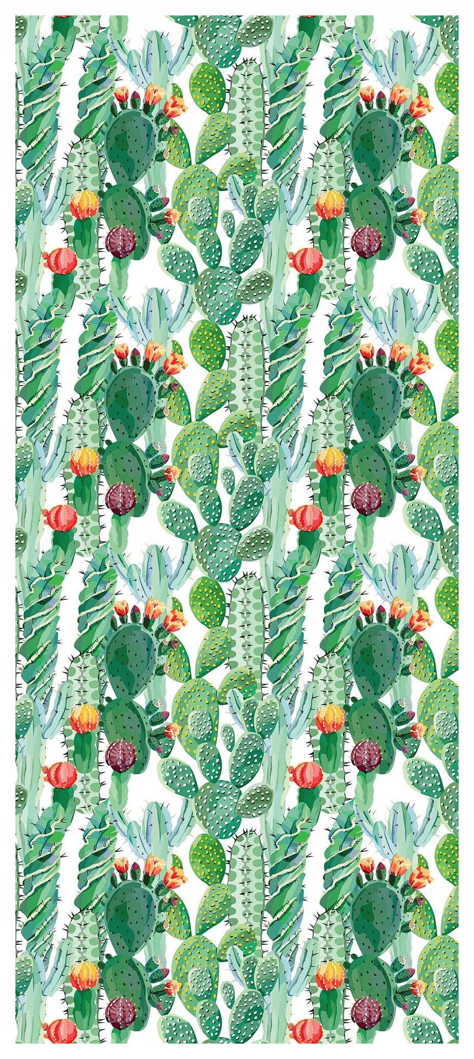 Samolepka Fototapeta Kaktusy Boho Eklektika Tropický styl a akcent 91x211
