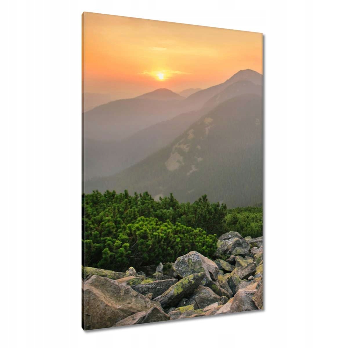 Obrazy 80x120 Horská krajina Krajina