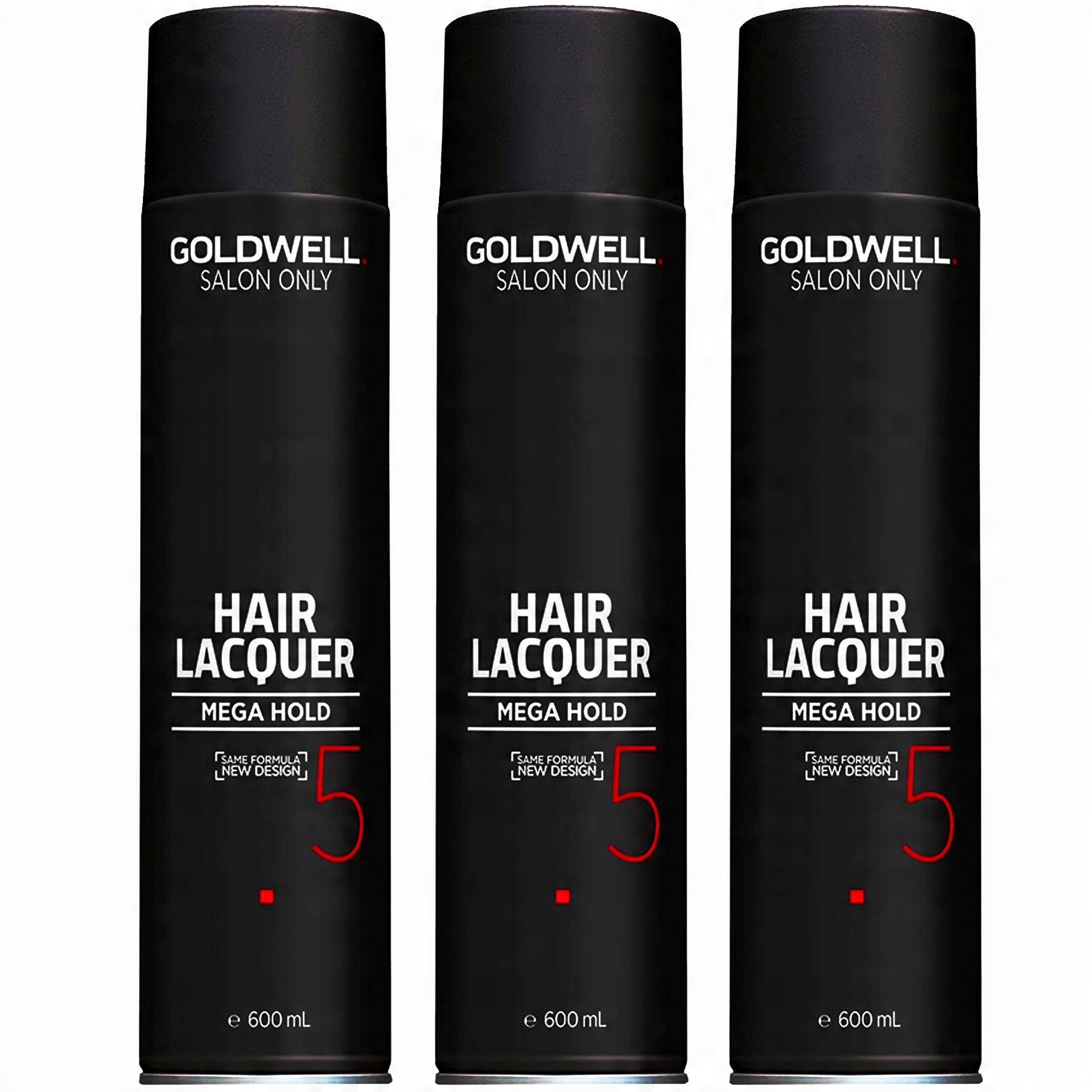 

Bardzo Mocny Lakier Goldwell Style salon 3x600ml