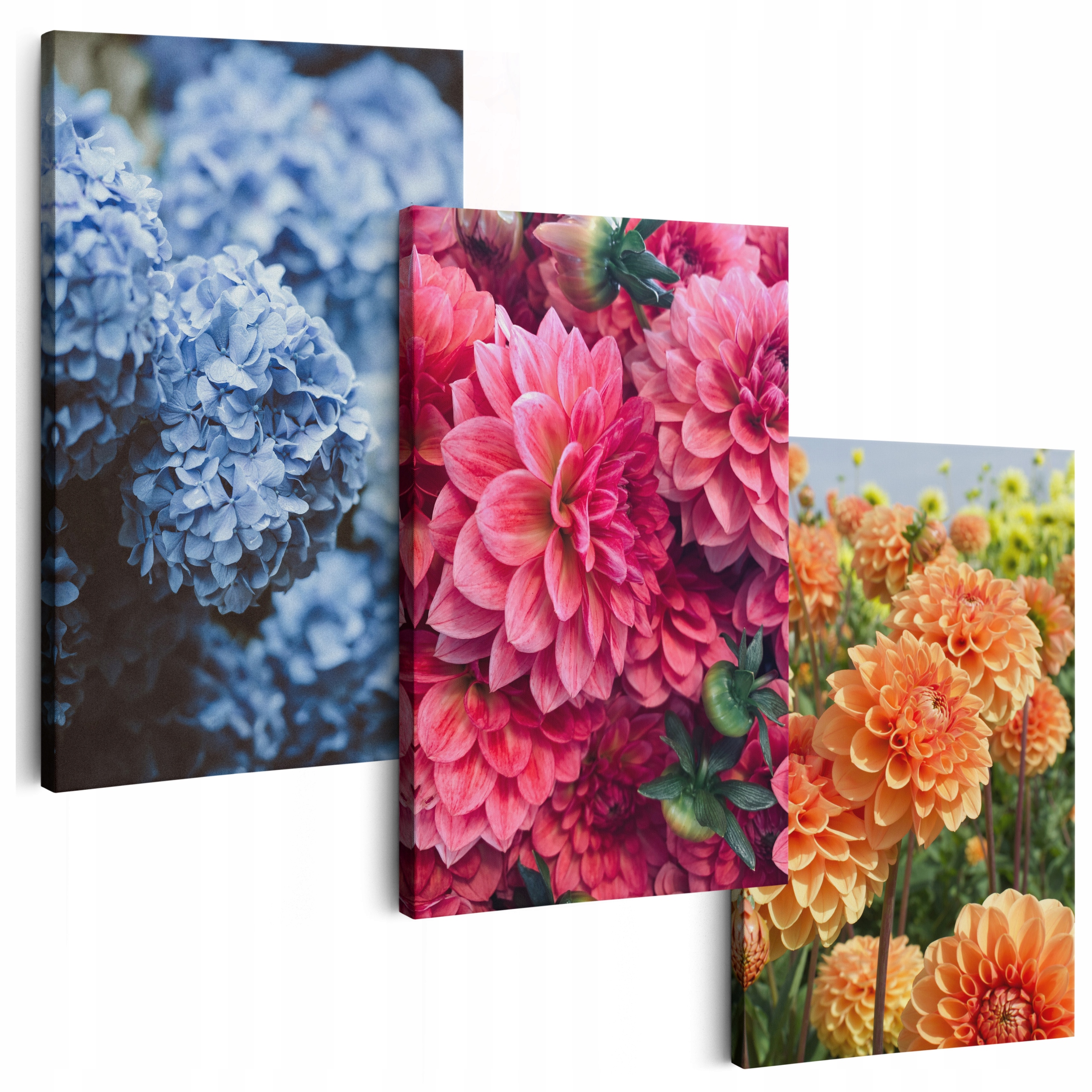 Obraz Na Plátně 180 cm **mnoho vzorů** Obrazy Do Obývacího Pokoje Triptyki Květiny