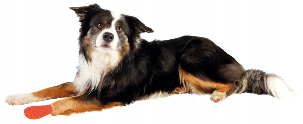 TRIXIE BANDAŻ ELASTYCZNY DLA ZWIERZĄT 4,5m TX19450 Marka Trixie