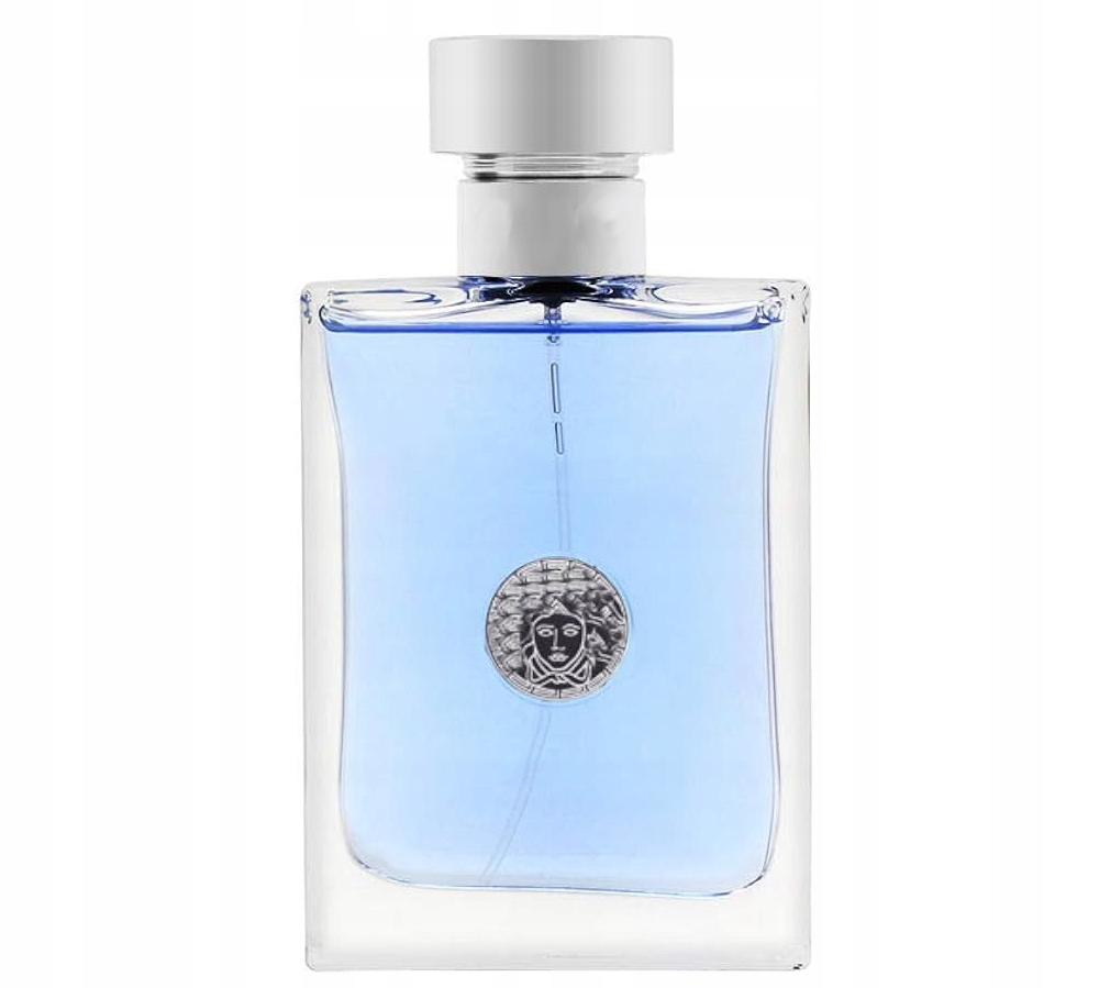 VERSSAGE POUR HOMME | Perfumy Męskie 100ml EDT Marka inna marka