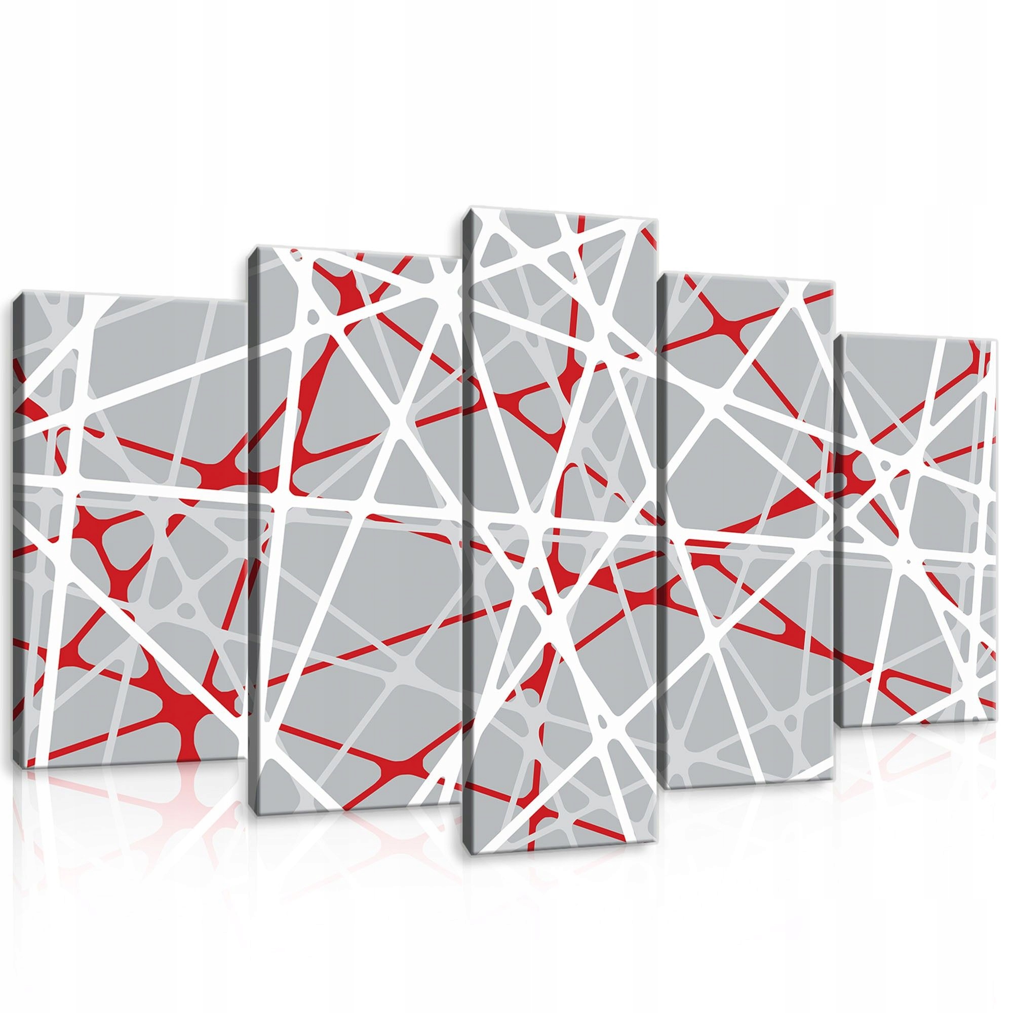 Obraz 100x60 Abstrakce linie síť červená bílá šedá vzor struktura