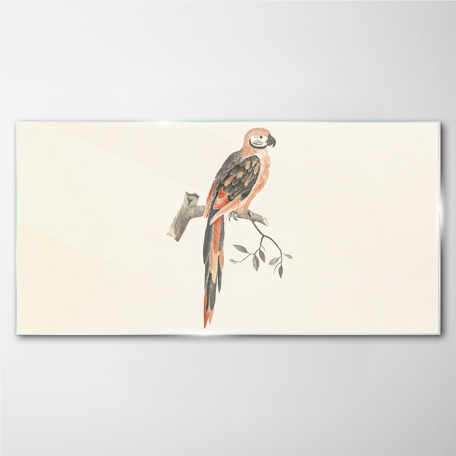 

Foto-obraz na szkle Zwierzę ptak oddział 100x50 cm