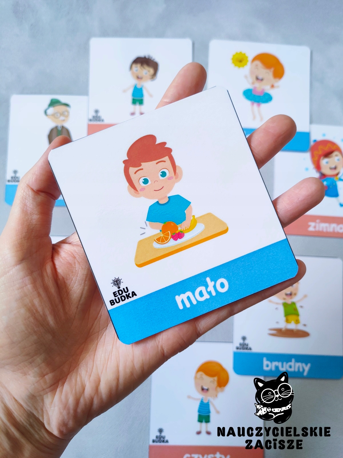 PRZECIWIEŃSTWA 78 kart obrazkowych dla dzieci Język publikacji polski