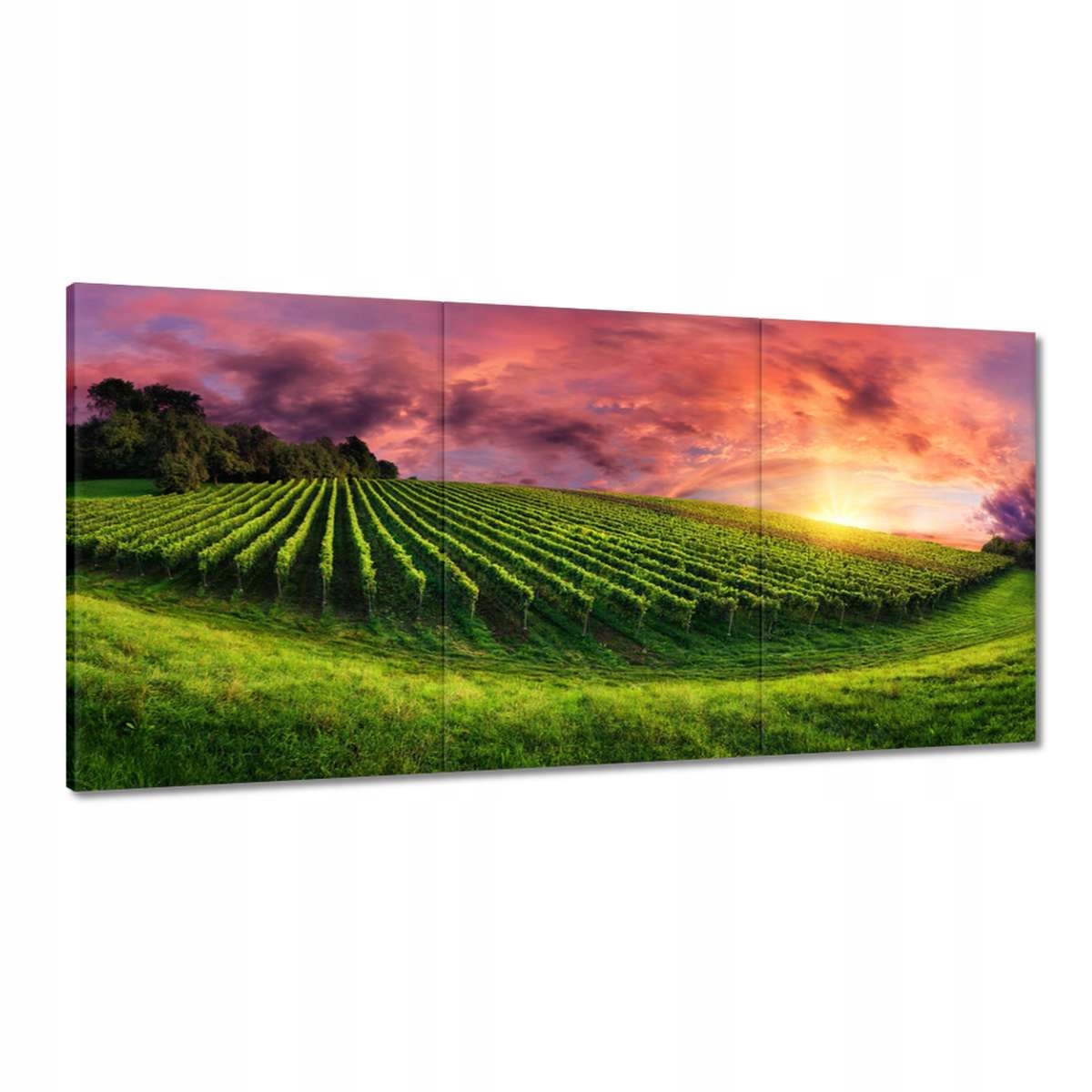 Obrazy 180x90 Vinárstvo Krajina