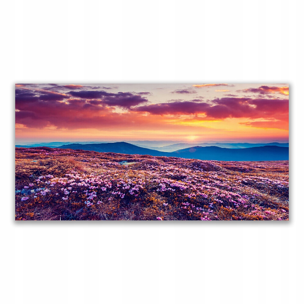

Obraz akryl wiszący 120x60 Łąka Góra Kwiaty Natura