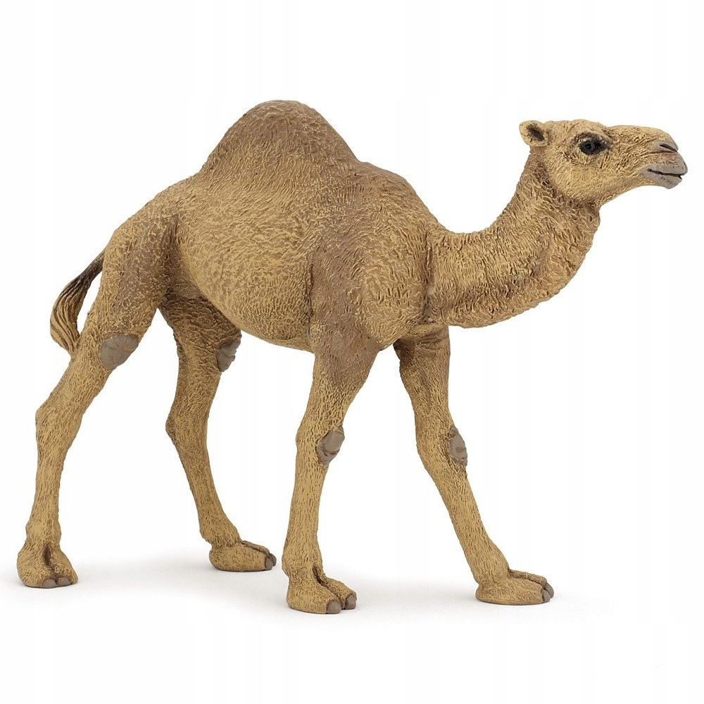 

Dromader - Dromedary - Papo - 50151