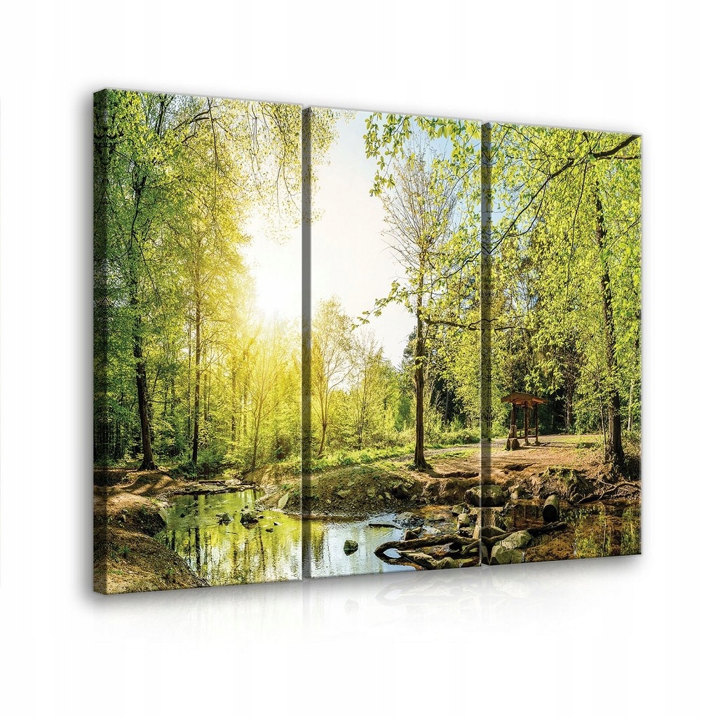 Obraz 90x80 Lesní krajina slunečný les řeka klid harmonie příroda