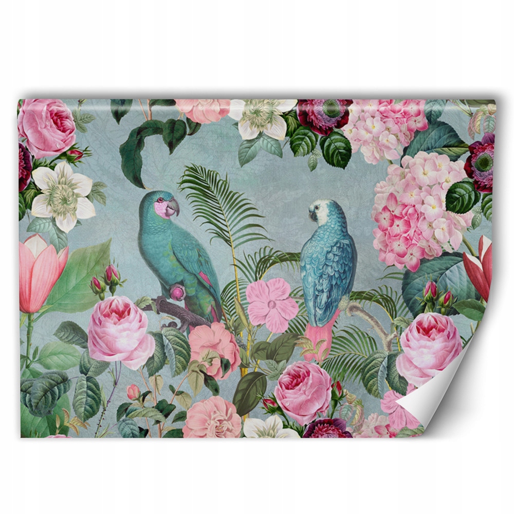 

Fototapeta Natura Ptaki Salon Klej Gratis 400x266