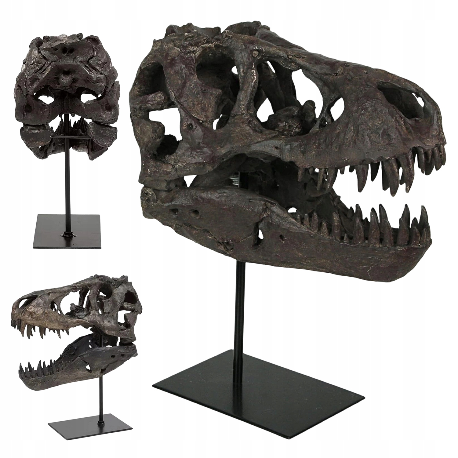 Lebka Dinosaura Tyranosaurus Dekorativní Živá Socha Na Poli