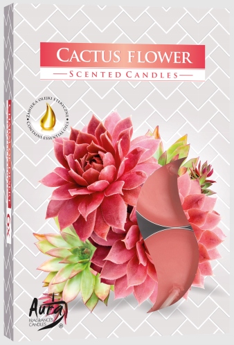 

Bispol Podgrzewacze Zapachowe Świeczki Kaktus Kwia