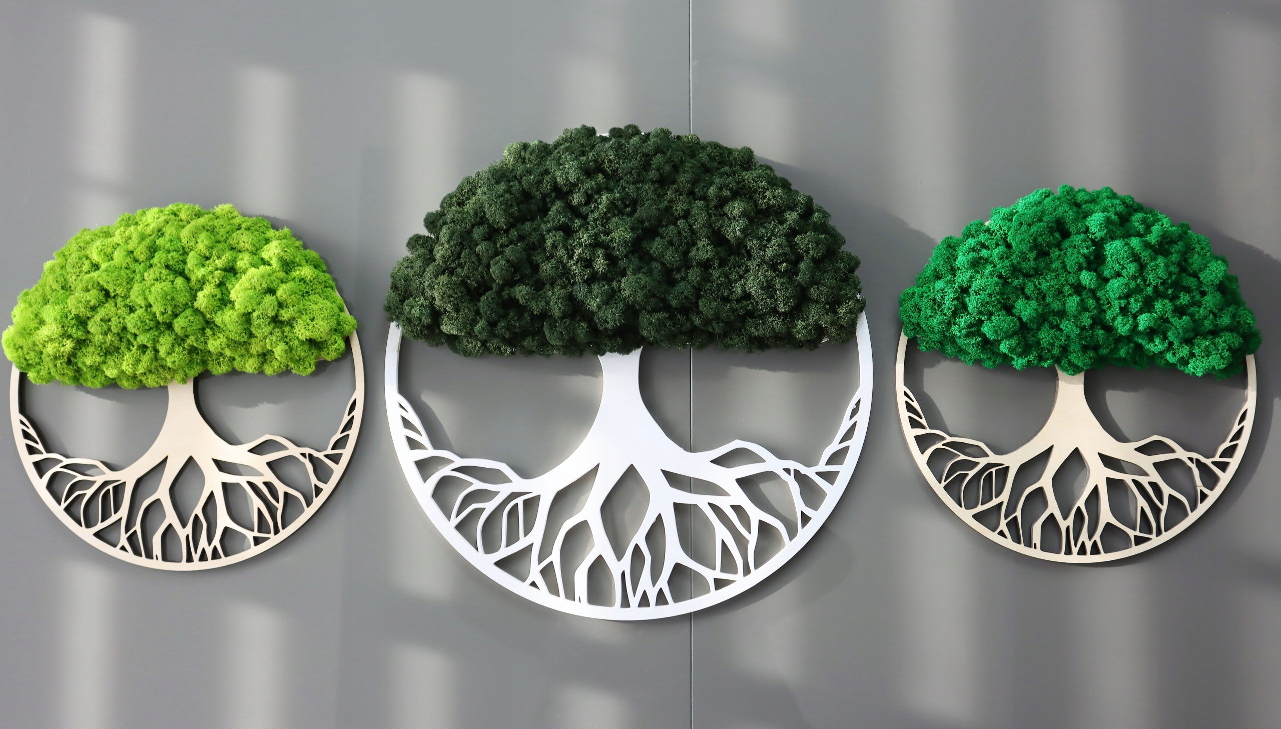 Drzewo życia drzewko chrobotek obraz Kolory 70 cm Wysokość produktu 70 cm