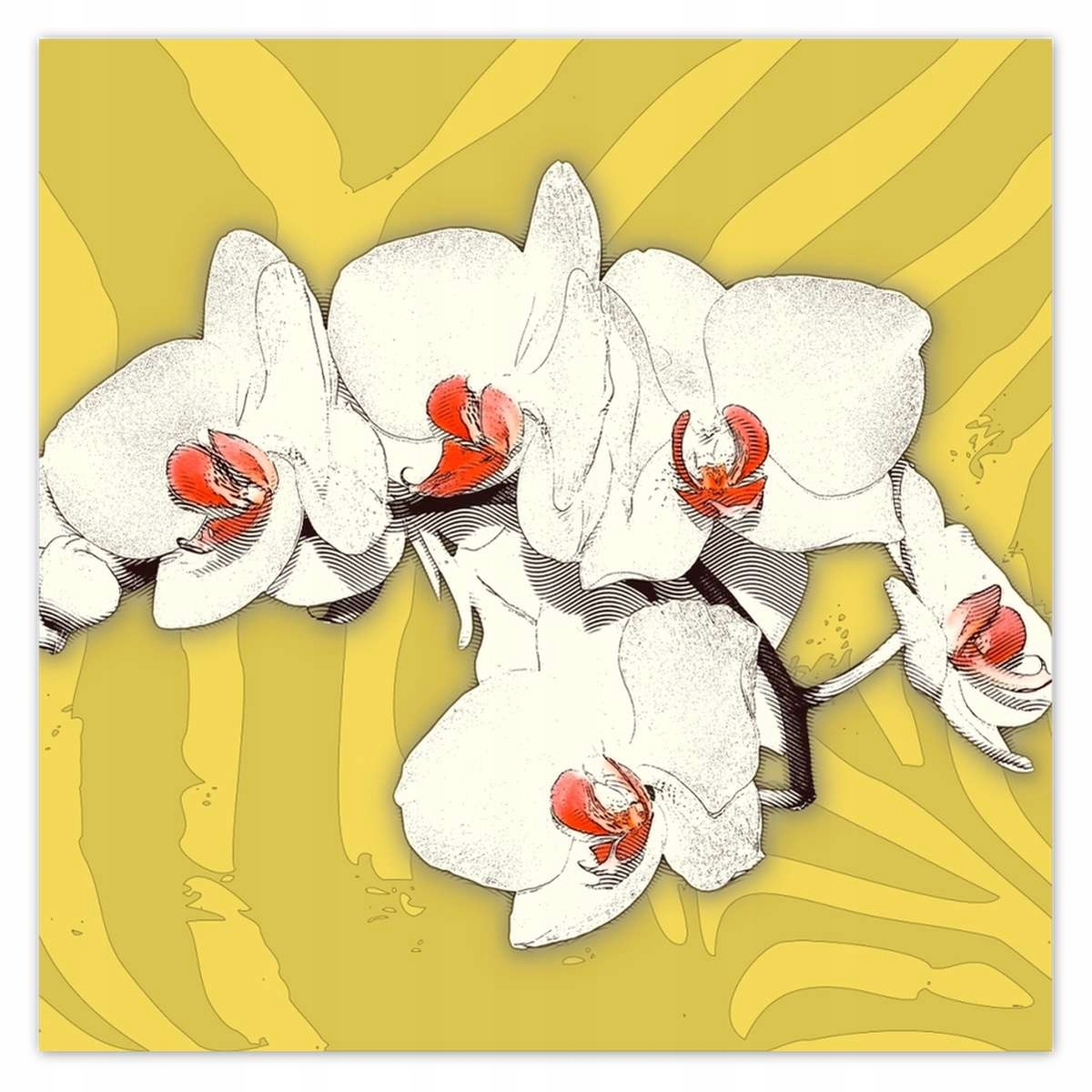 Plakáty 140x140 Orchideje Květiny