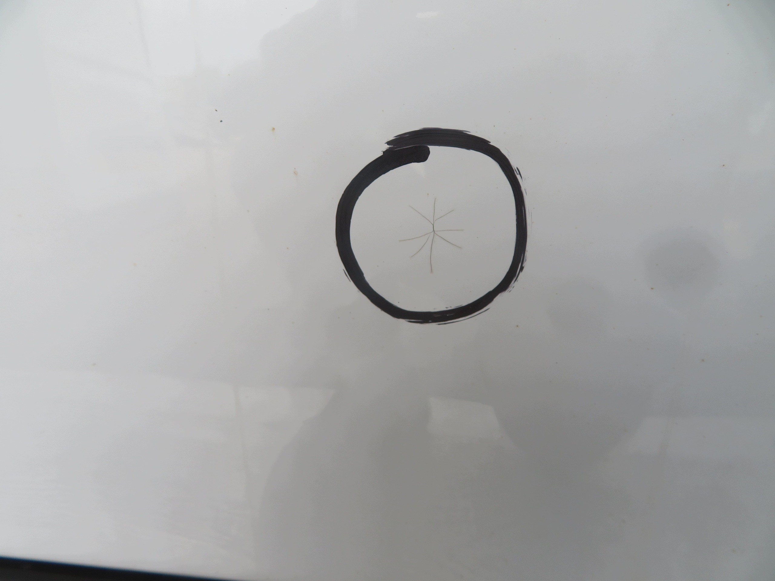 door right rear. DUBEL KABINA MERCEDES SPRINTER 19R