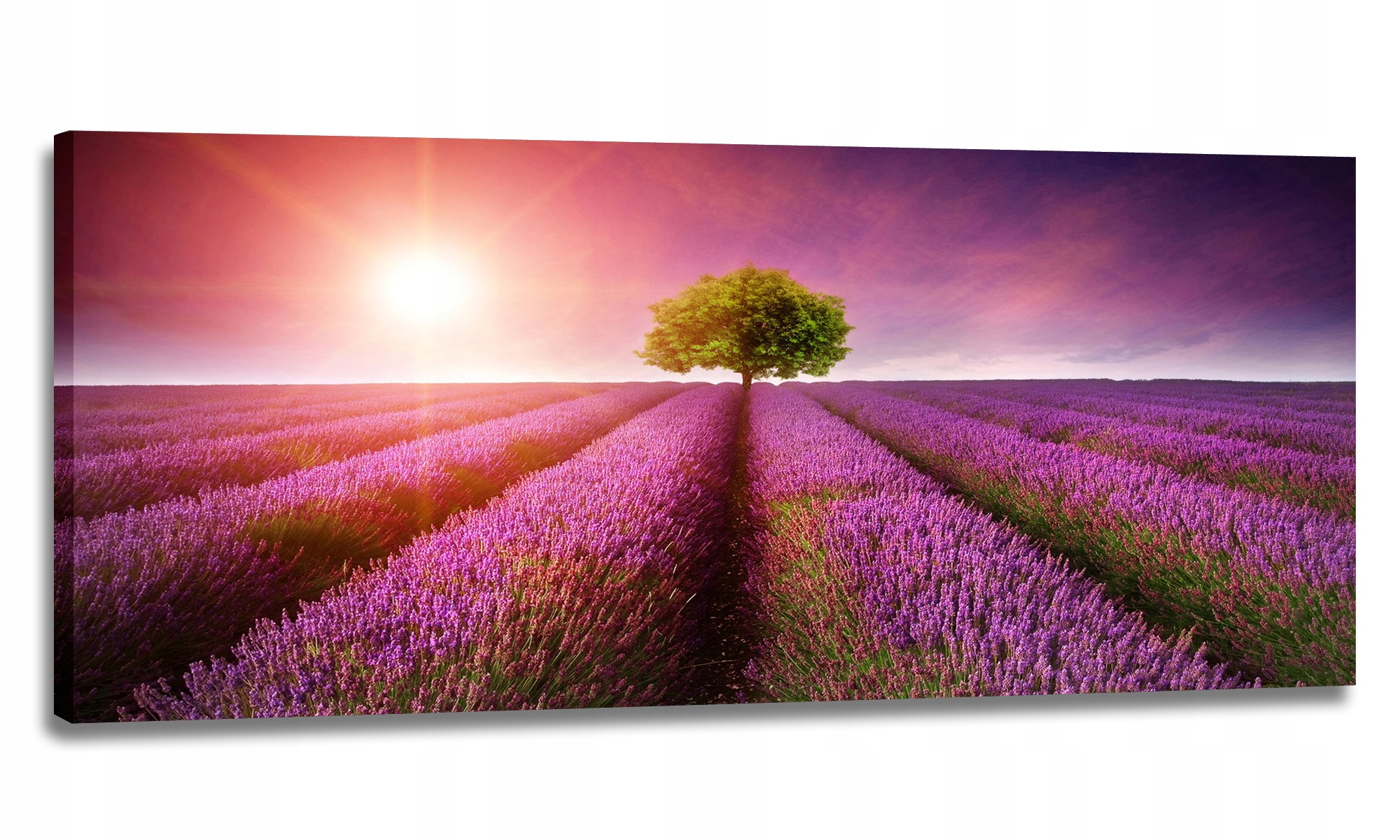 Obraz Led 150x60 Nástěnné Svítidlo Lampa Levandule Pole