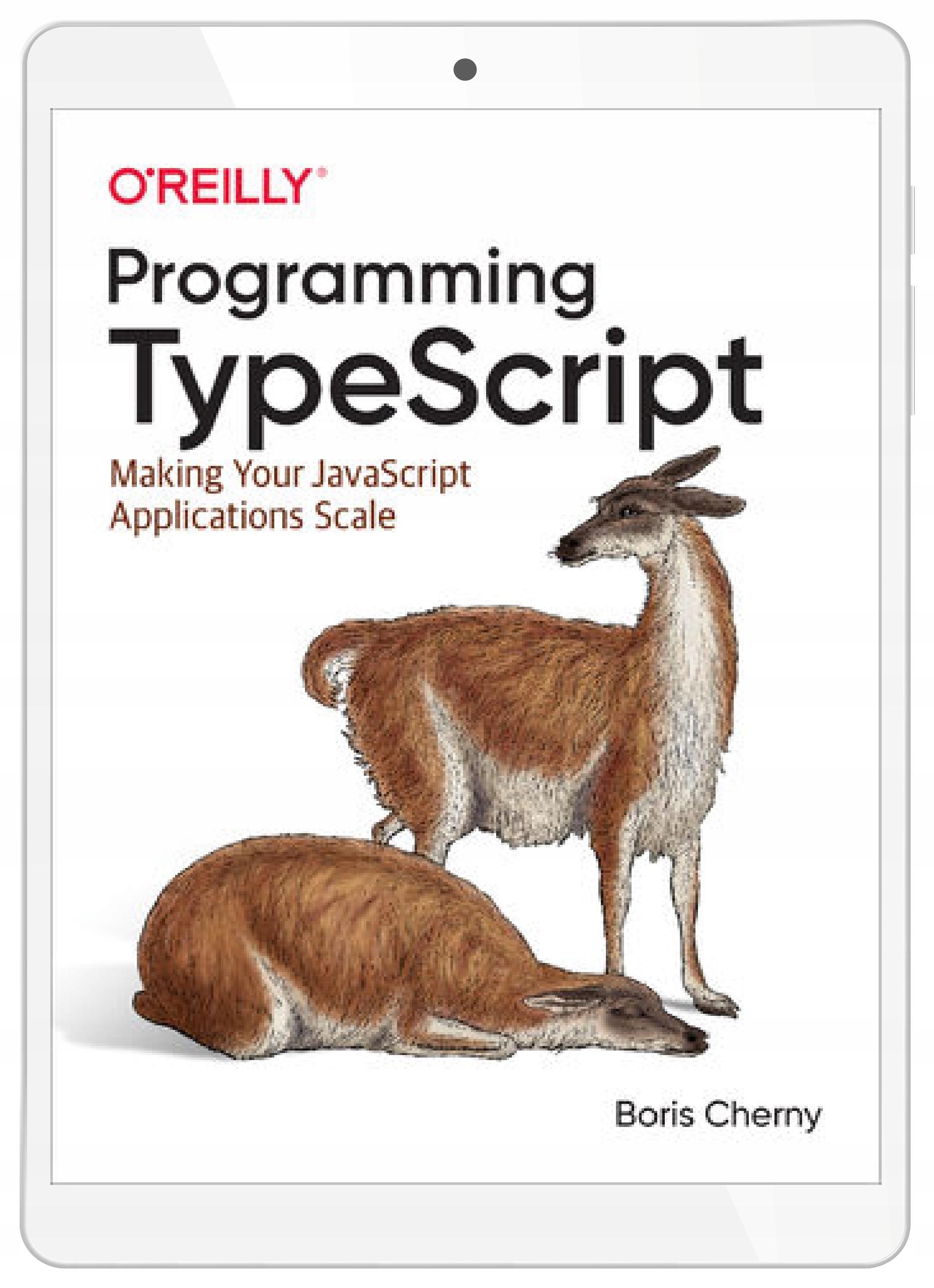 Programming TypeScript. Making Your JavaScript