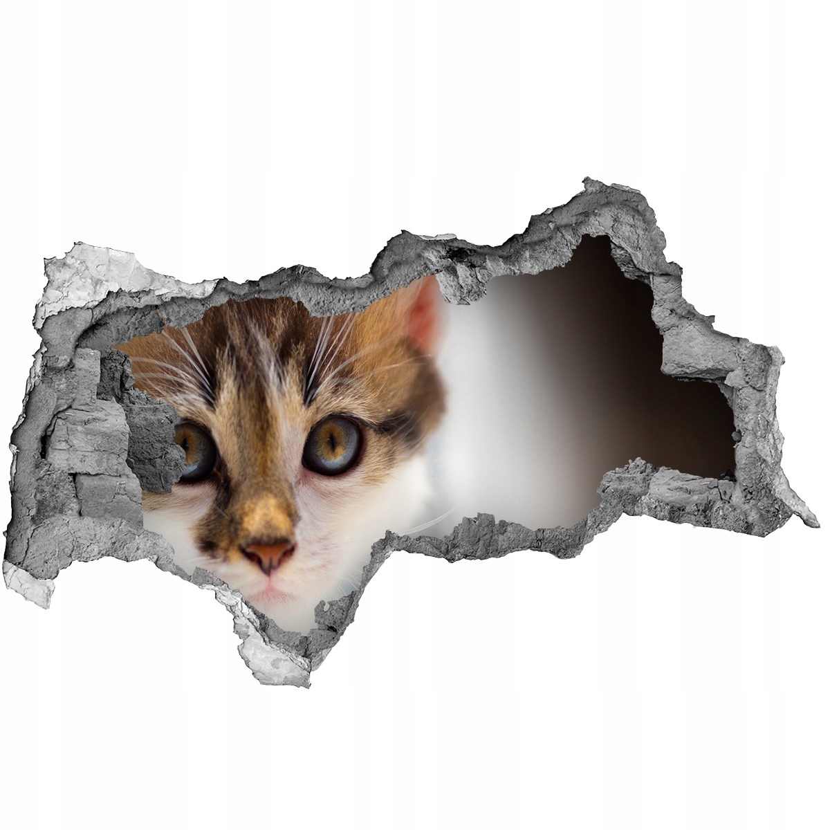 

Dziura 3d fototapeta ścienna Naklejka Mały kot
