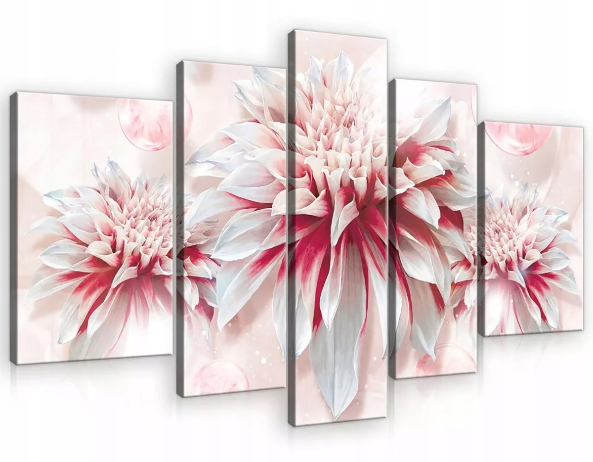 Obraz Na Plátne Canvas 170x100 Kvety Astry Dalie Príroda Príroda