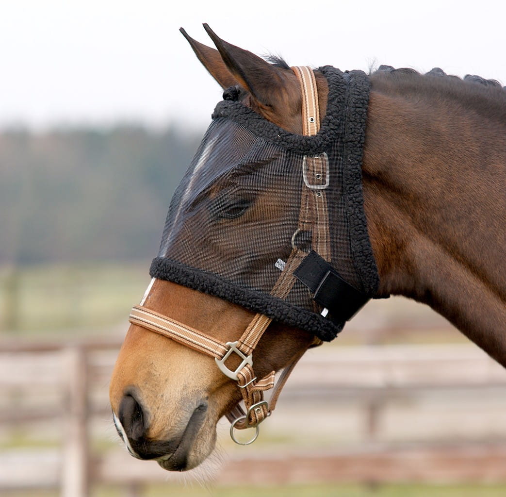 

Qhp Maska Bez Uszu Czarna (r: Pony)