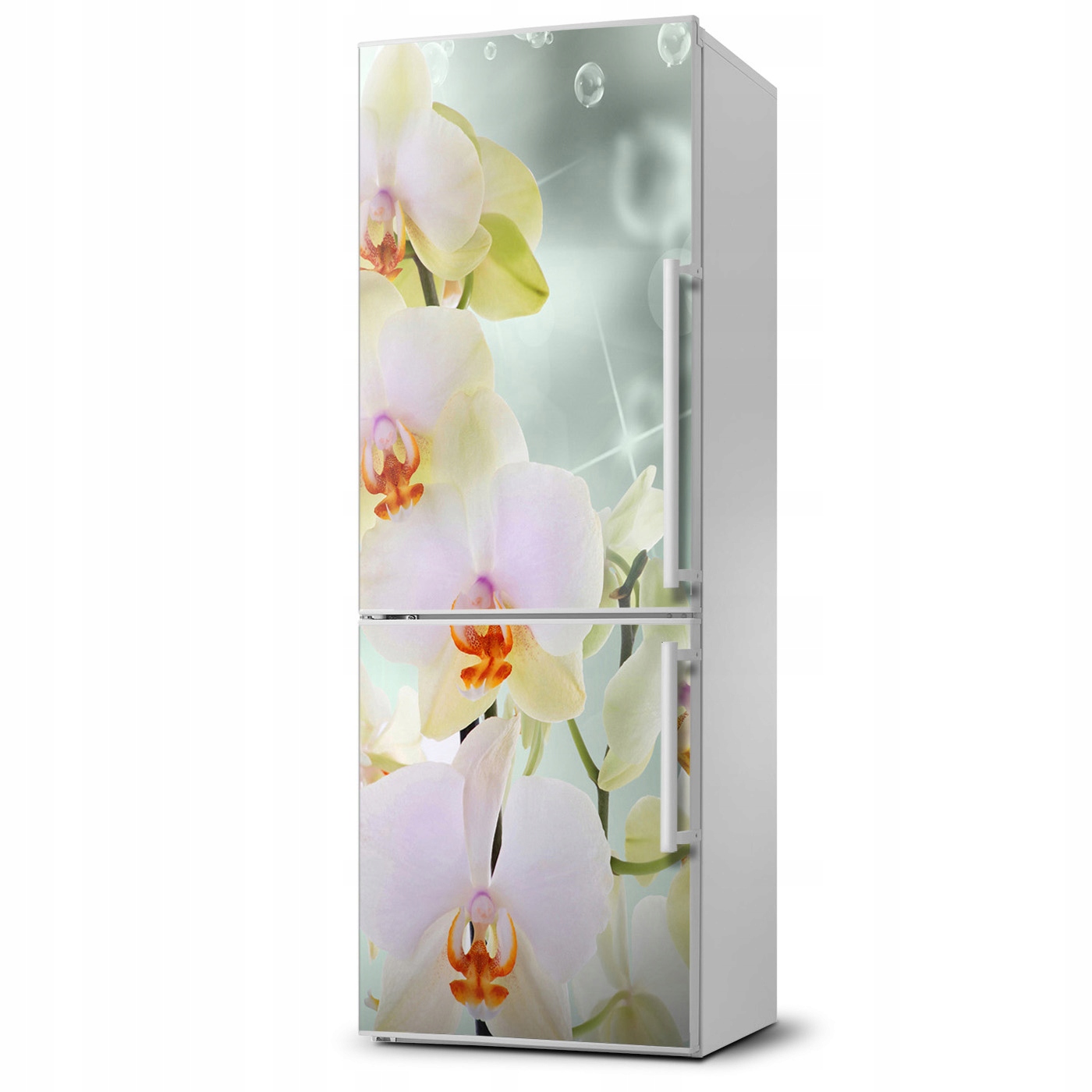 

Naklejka Magnes Magnes na lodówkę Orchidea 60x180