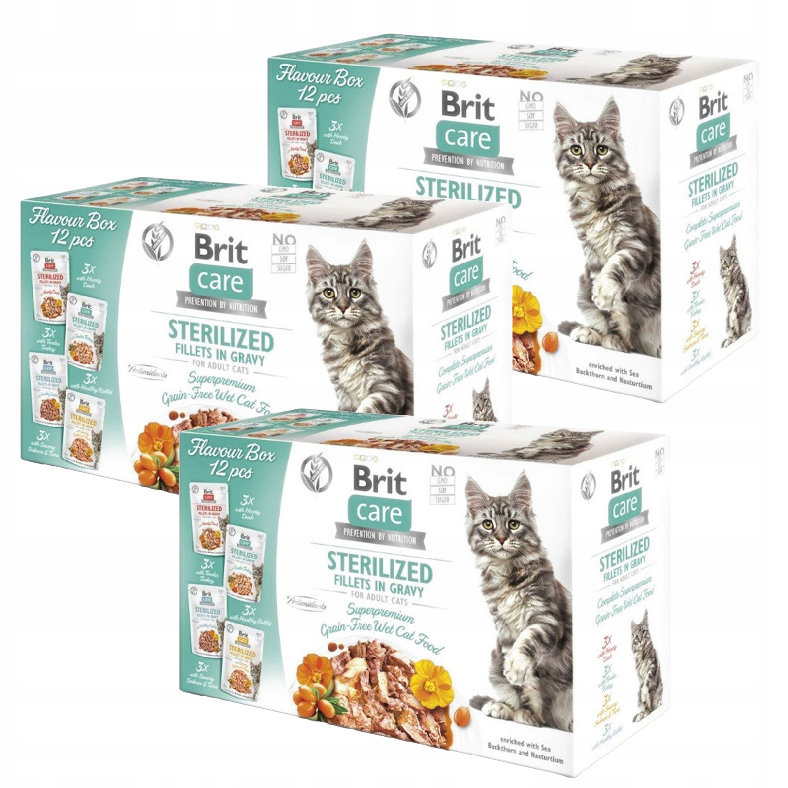 Brit Care Box Pouch Sterilized karma mokra dla kota mix smaków 36 x 85g