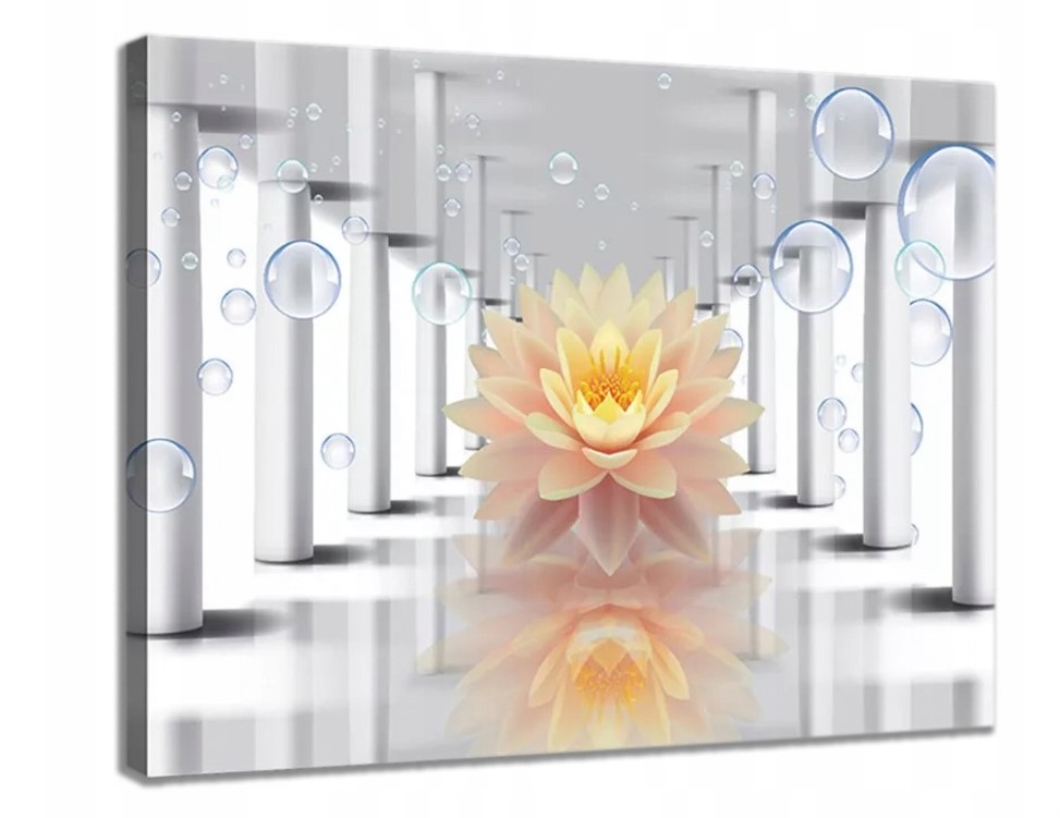 Obraz 80x60 Lotos čistota klid harmonie abstrakce minimalismus prostor