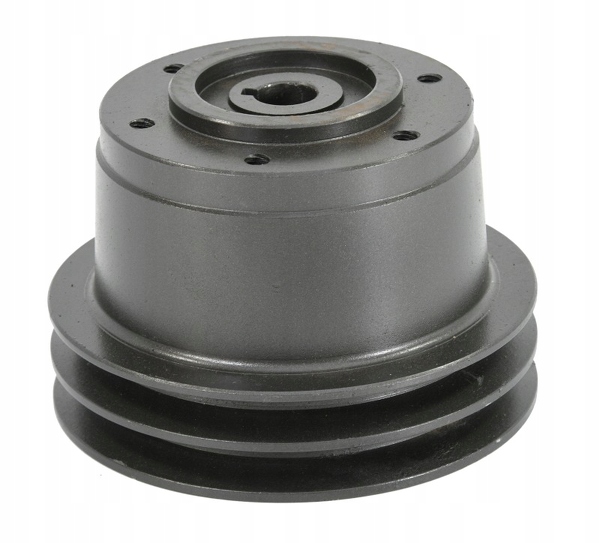 PA2.282, PL601212 - ВОДЯНОЙ НАСОС ШКИВ 2 ПОЛОСКИ БИЗОН ЗАПИСЬ