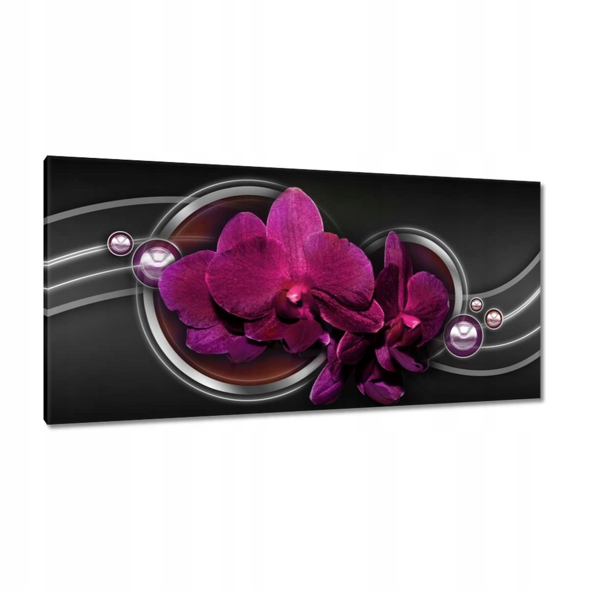 Obrazy 115x55 Orchidej Květ Květiny