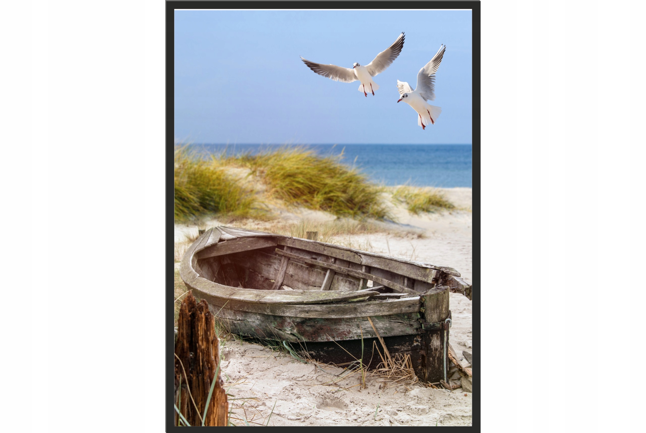 

Obraz plakat 70x50 plaża mewy łódka morze bałtyk