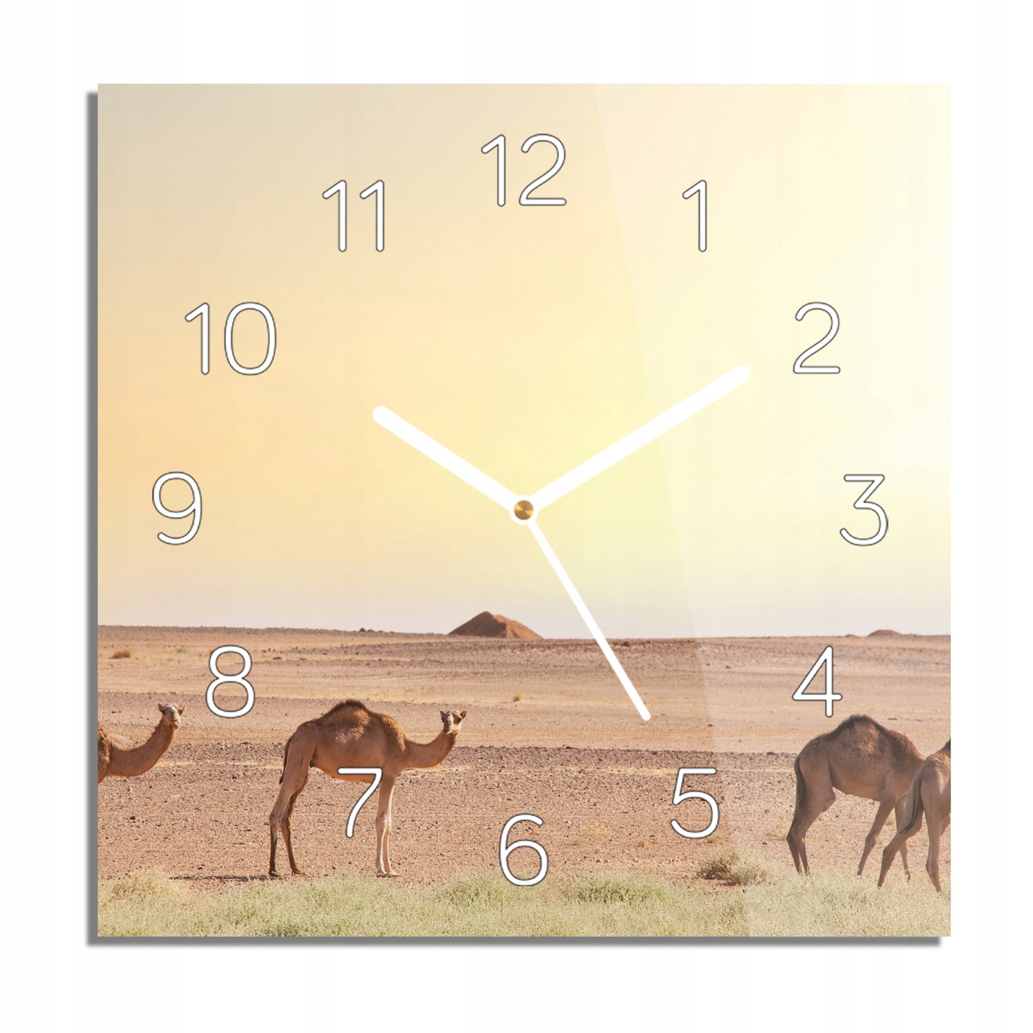 

Wielbłądy pustynia foto-zegar białe cyfry 30x30