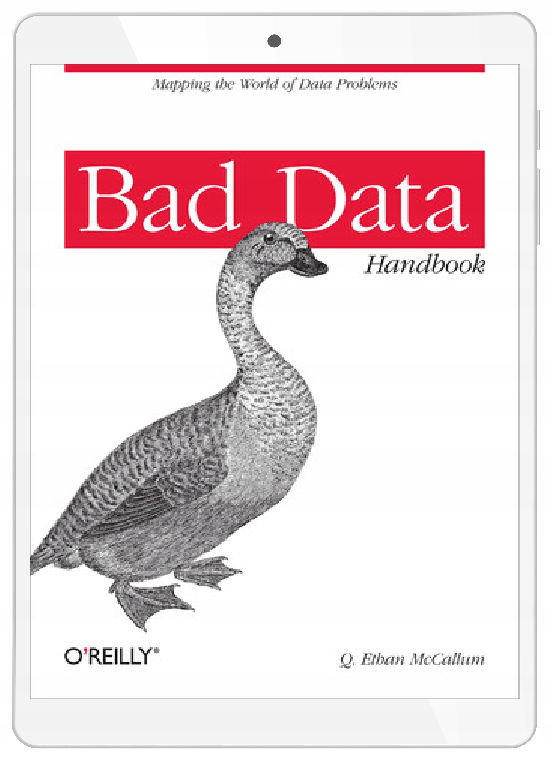 Bad Data Handbook. Cleaning Up The Data So You Can