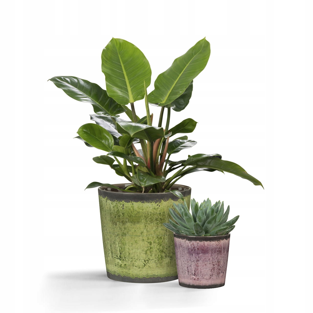 Fioletowa osłonka na doniczkę Scheurich Kod producenta 870