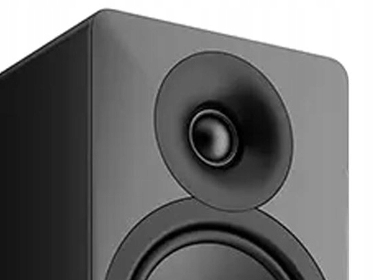 KOLUMNA PODŁOGOWA ACOUSTIC ENERGY AE109 MK2 CZARNA Rodzaj podłogowe