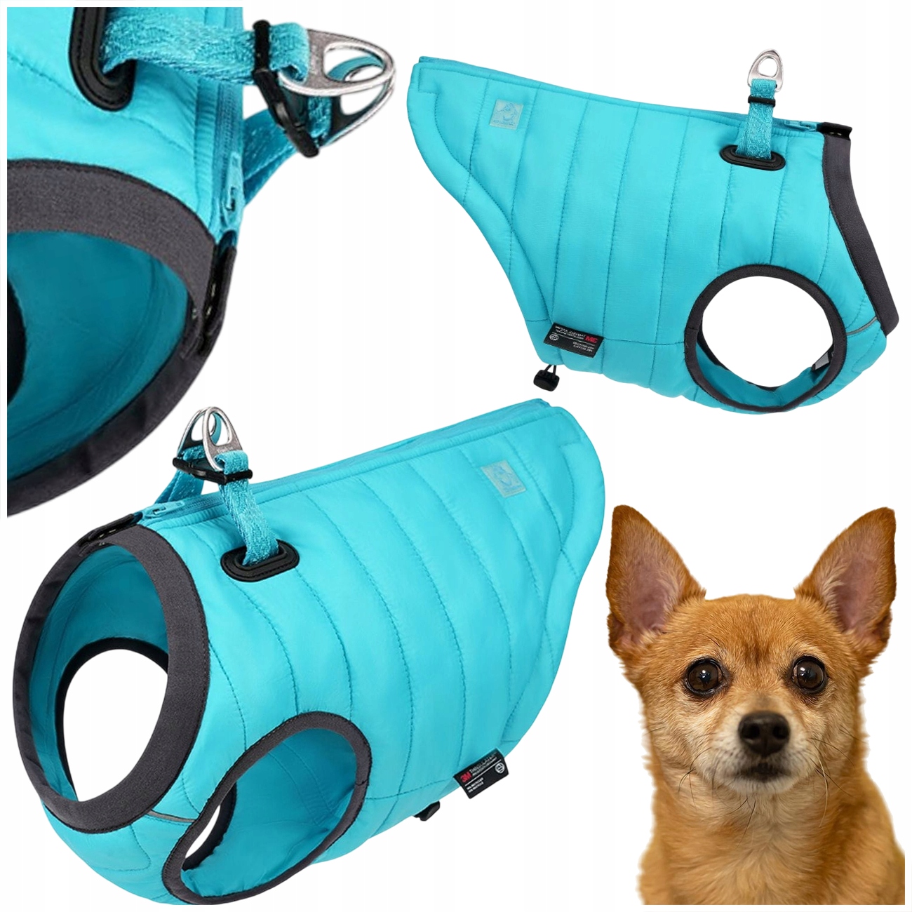 Levně Zateplená Bunda Pro Psa Vesta Truelove Seal Modrá Xs